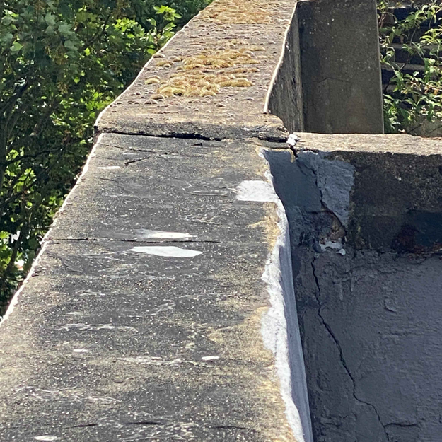 SSI-report-Peckham